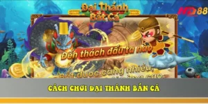 cach choi dai thanh ban ca meo dung skill te thien dai thanh 6963807ac807f