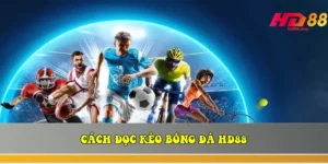 cach doc keo bong da hd88 hieu ro ty le thang 90 696380af8263e