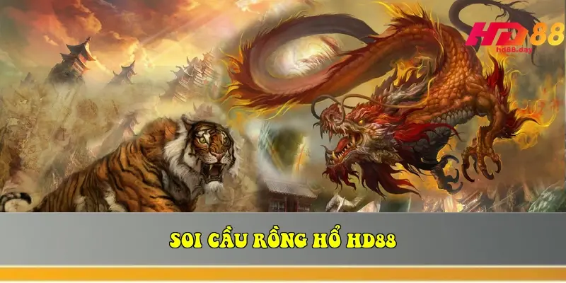 soi cau rong ho hd88 thuat toan bat cau thang 95 696380a29063f